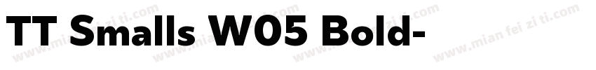TT Smalls W05 Bold字体转换